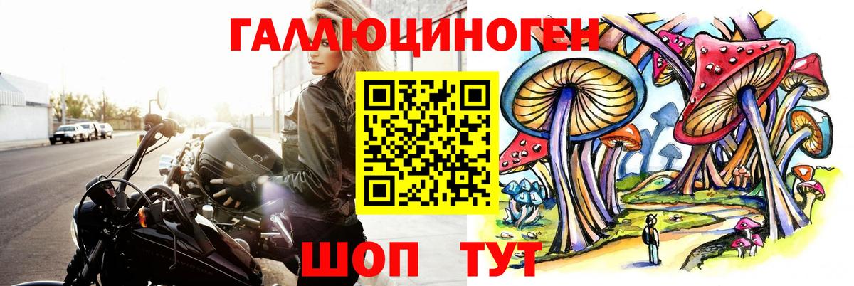 где можно купить наркотик  Псилоцибиновые грибы прущие грибы  Октябрьский  Вход с VPN  Псилоцибиновые грибы Magic Shrooms 